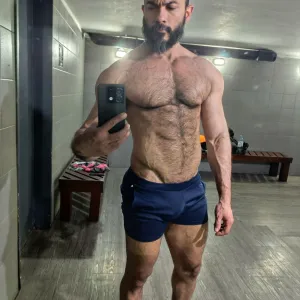 Alepadron
