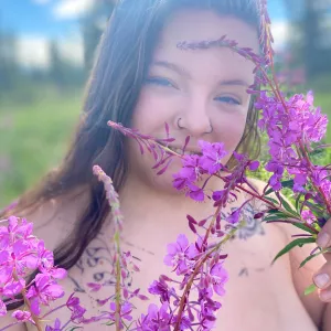 Alaska Rose