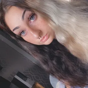 CollaredFox11