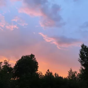 MNkinkCpl