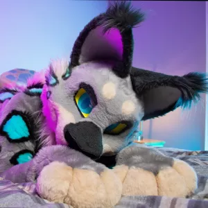 Bimbo Lynx