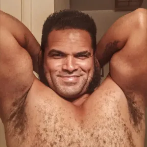 HERCULES THE BEAR