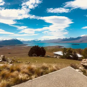 Nzlassxx