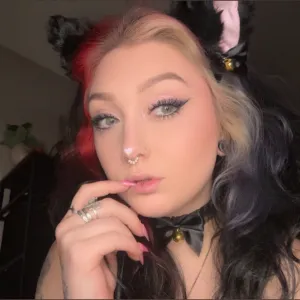 kitten