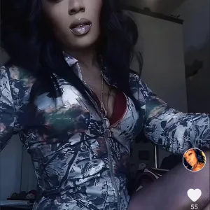 KarDbae Stallion