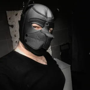 Hornyficior