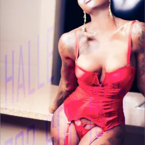 TS Halle