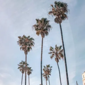 All Sun