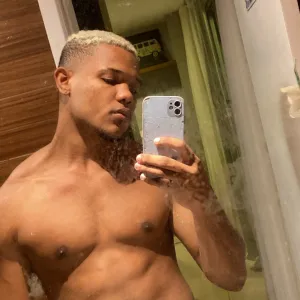 Gato preto