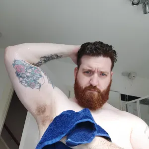 British Viking FREE