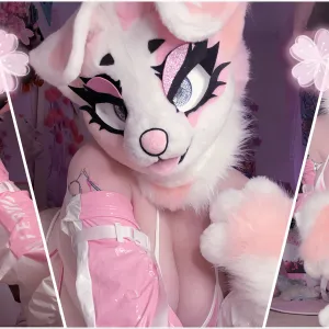 🎀Angel🎀