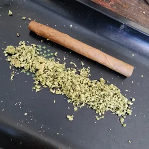 Naughty Stoner Neighbors