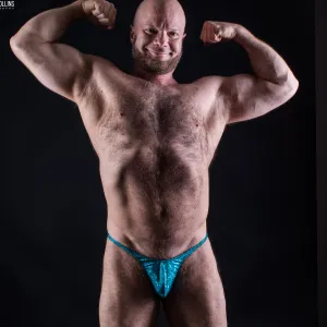 MuscleBull