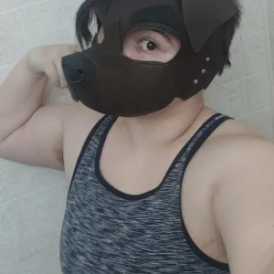Some times a dog