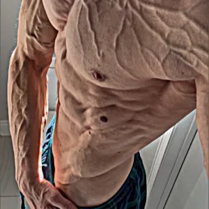 King Shredz
