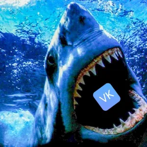 Tiburonvk🦈