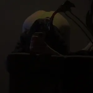 🤤Lia🤤