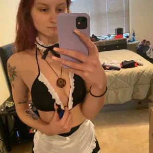 Little Ginger Snap😽