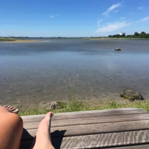 Anita
