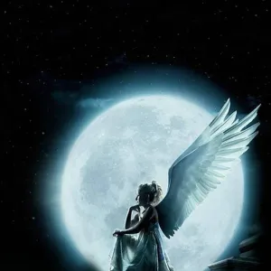 Night Angel