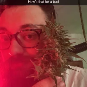 Cannabear
