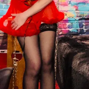 toyfox