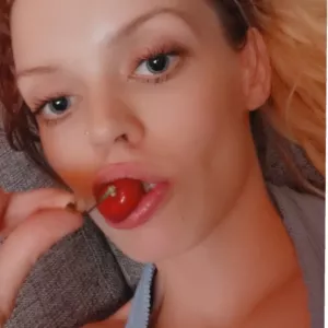 Scandikat