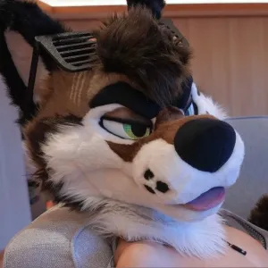 PalaceWolf
