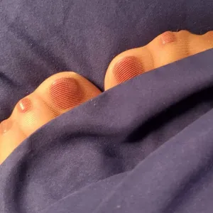Taylor's Nylons