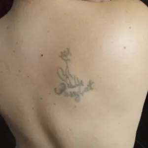 PussyKatt