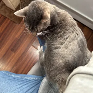 Kitticonneixxx