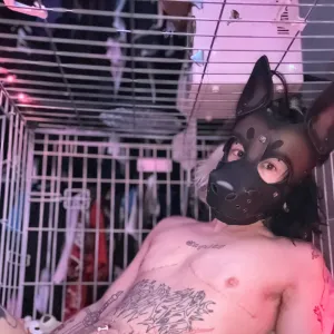 🎀Mutt🎀