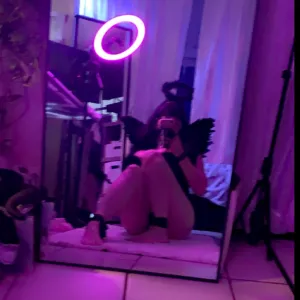 APrettyPetKitty