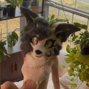 🌱𝕍𝕚𝕧𝕚𝕒𝕟 𝕍𝕚𝕟𝕖𝕤🌱