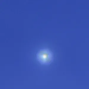 wsmbull