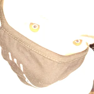 EATY GAMER