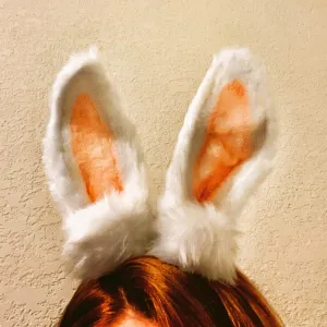 Beloved Bunny