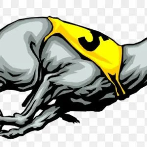 GetUpThePunt2021