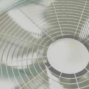 Fans Only Club