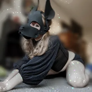 fox.faes