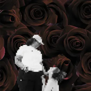 ObsidianAndRose