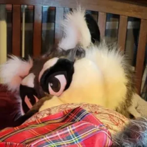 snarkyraccoonx