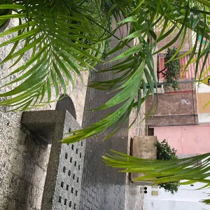 Juan Batista