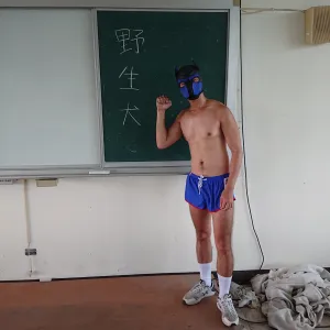 傲嬌狗