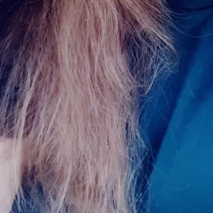Nordic_Viking