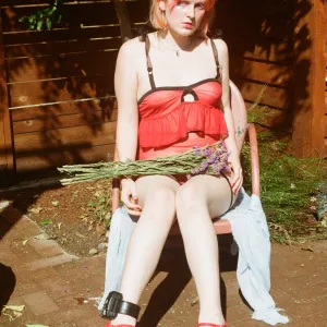 Sugar Fae