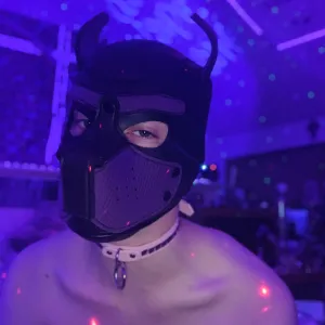 Altfixxx