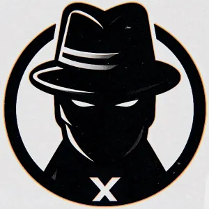 Mr X