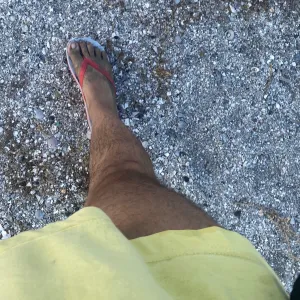 Daniele