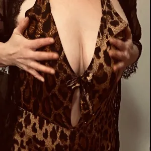 Leather Housewife